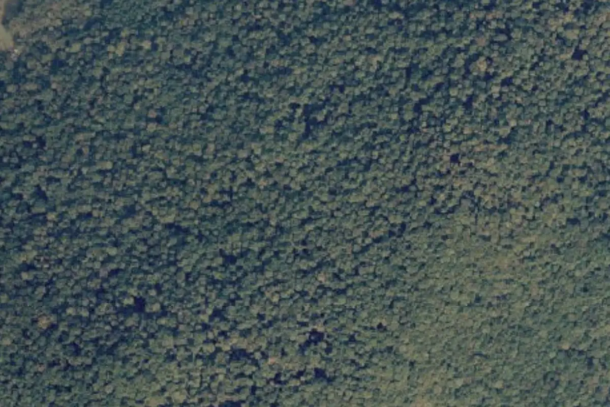 Aerial photo of the Paranoid Block area