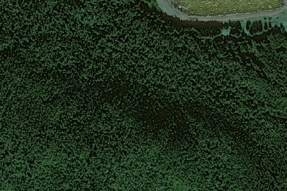 Foto aérea de la zona de Chilkat State Park