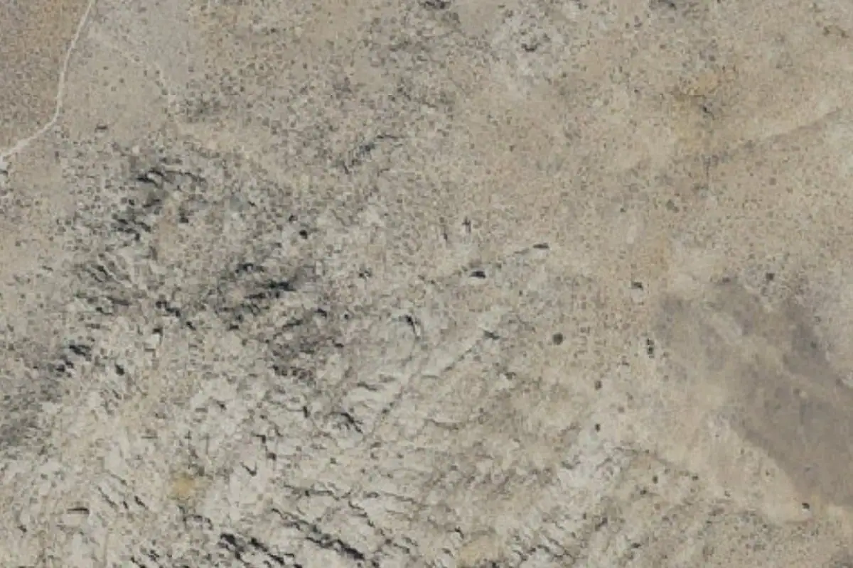Foto aérea de la zona de Apiary Area