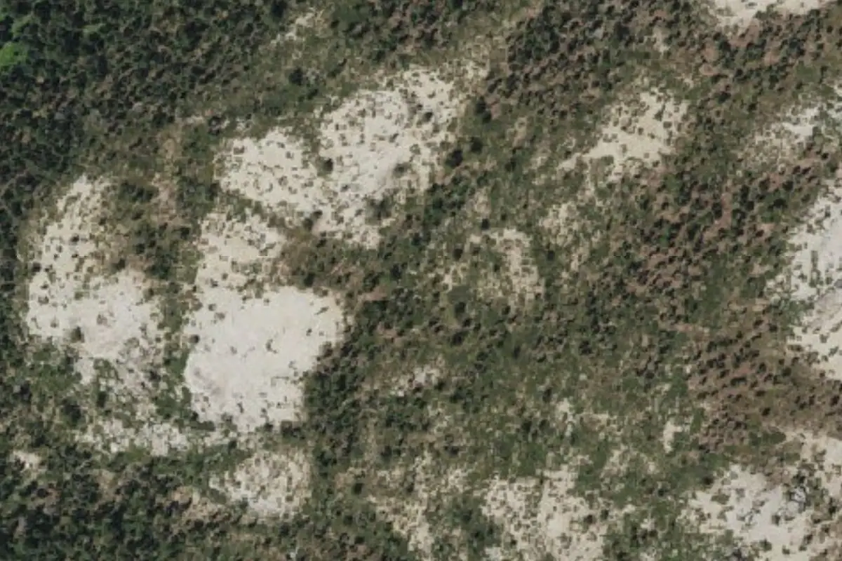 Aerial photo of the Cat Nap Dome area