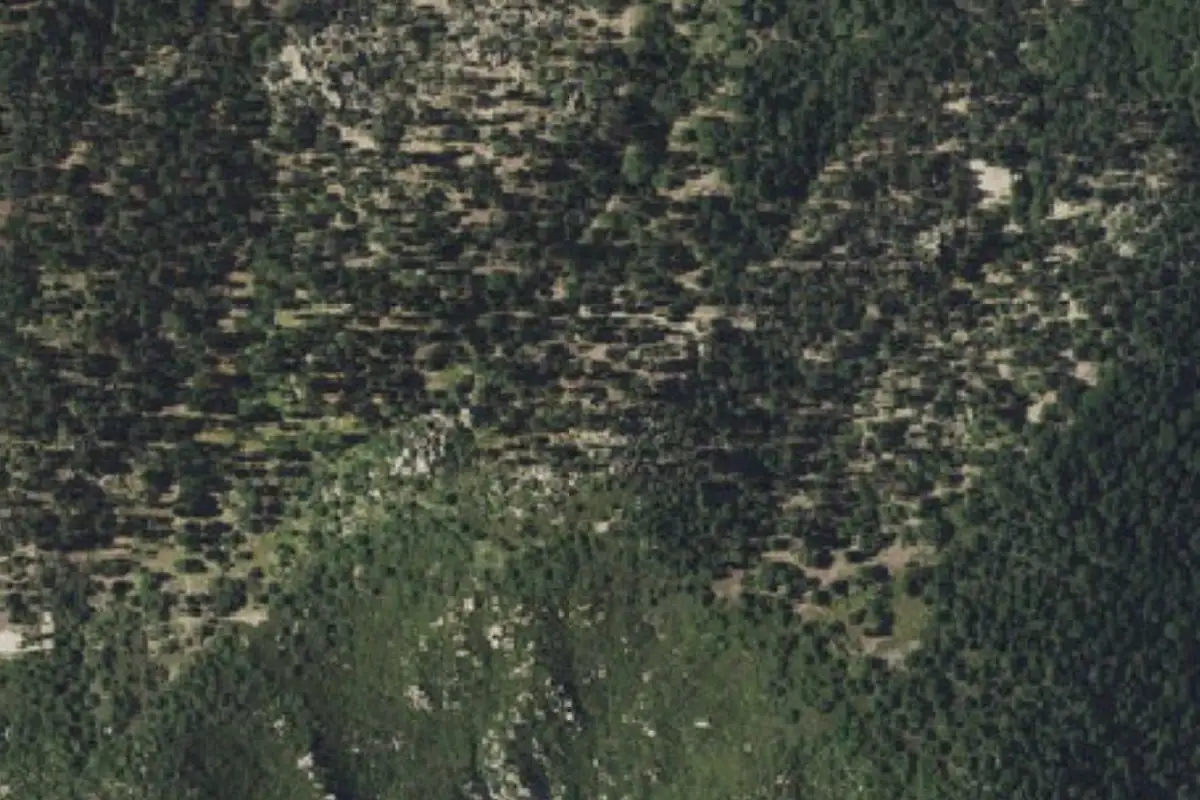 Foto aérea de la zona de Crow's Nest