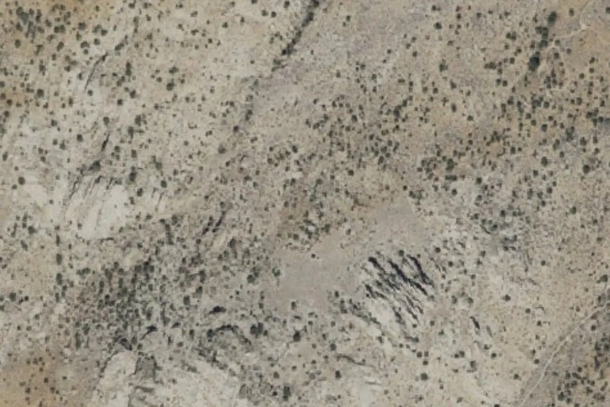 Foto aérea de la zona de Dale's West