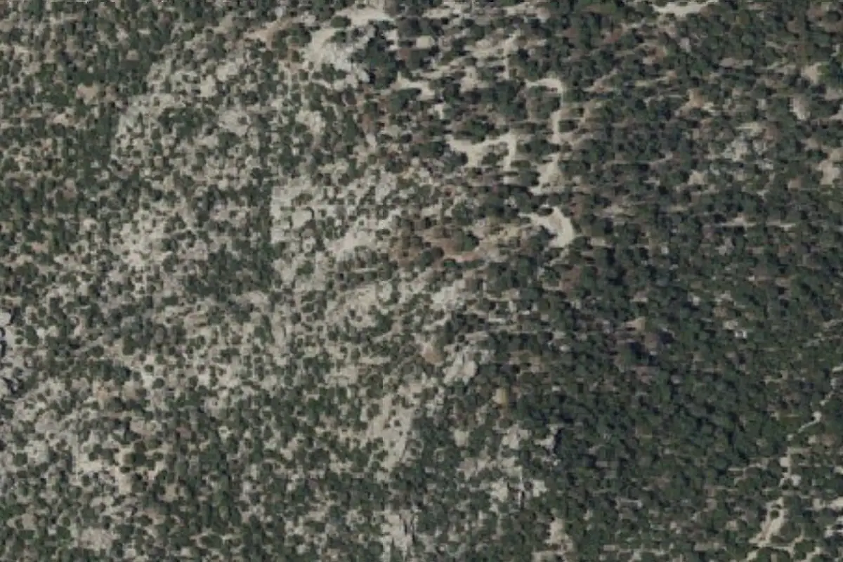 Aerial photo of the Facemeat Area area