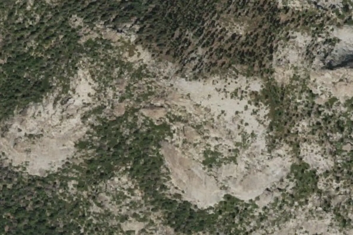 Aerial photo of the Incinerator Area area