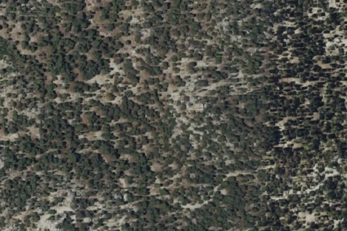 Aerial photo of the King Kong area