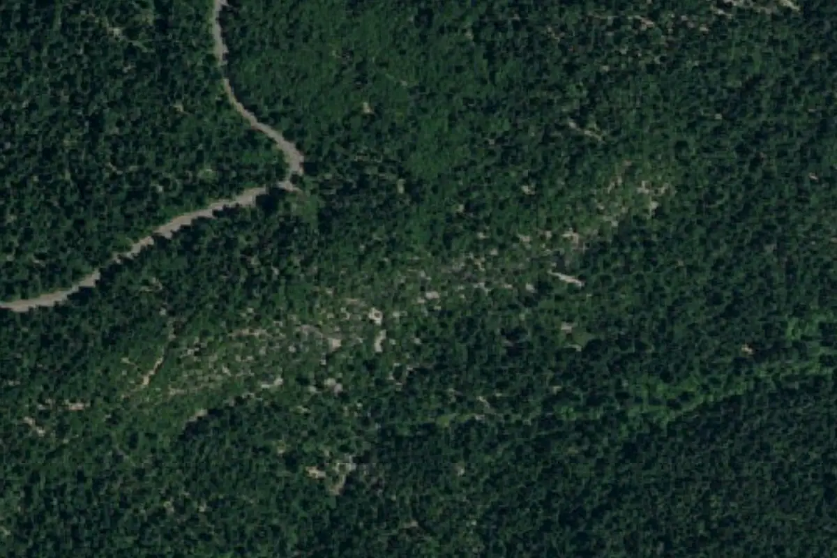 Aerial photo of the Ney Springs area