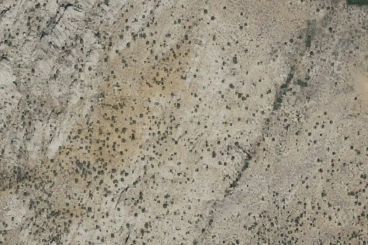 Aerial photo of the Painted Cave Area area