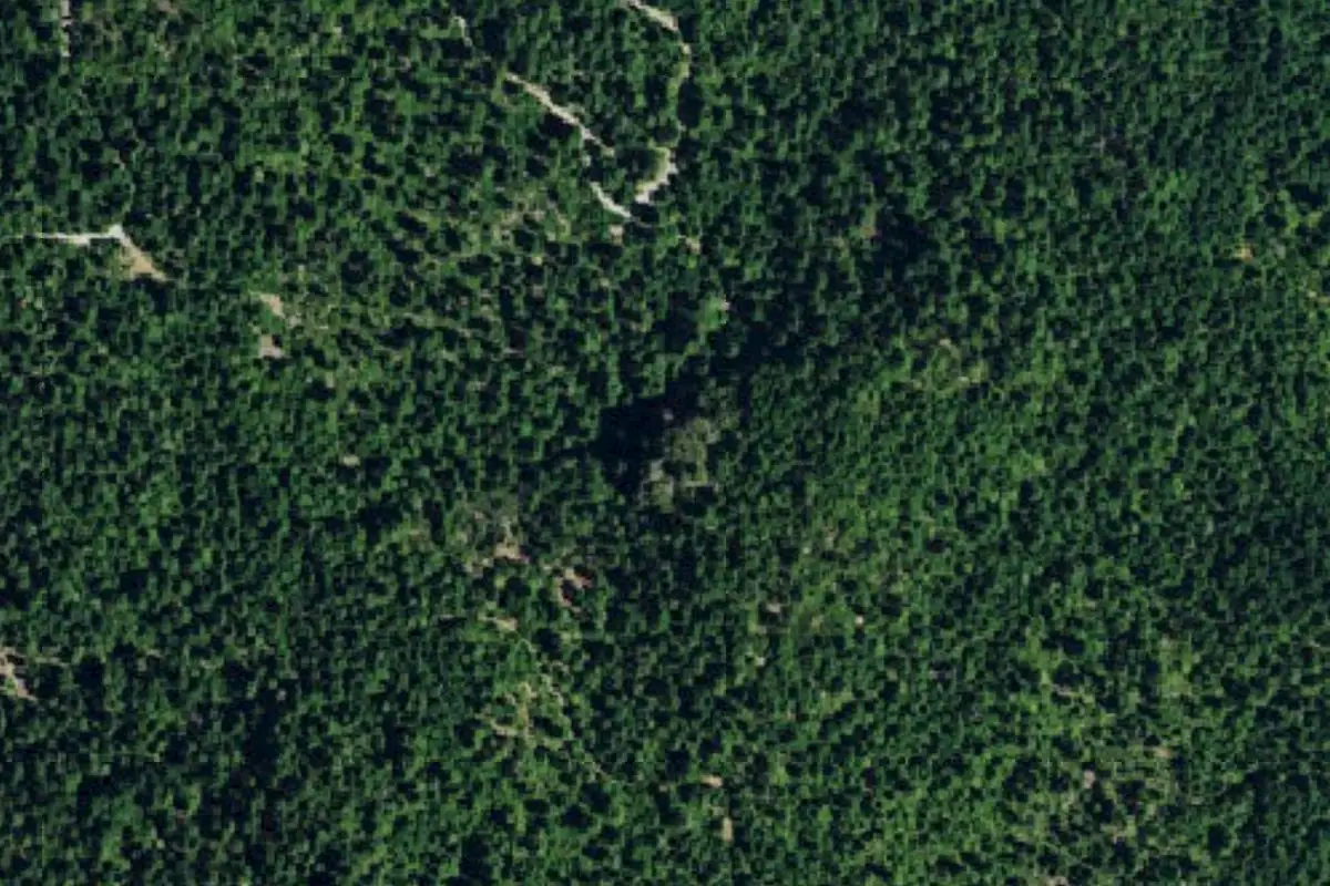 Foto aérea de la zona de Safari Wall