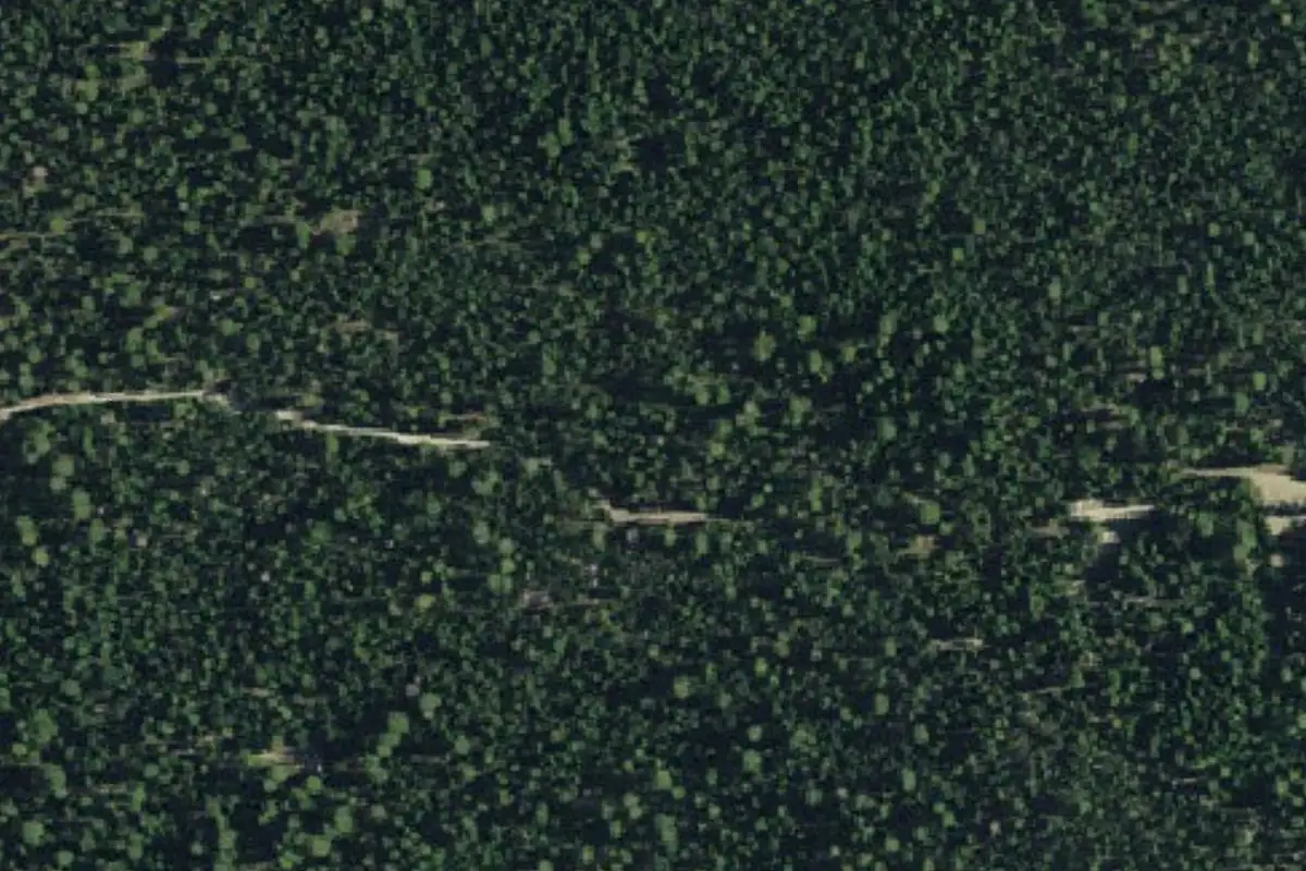 Aerial photo of the The Blues area