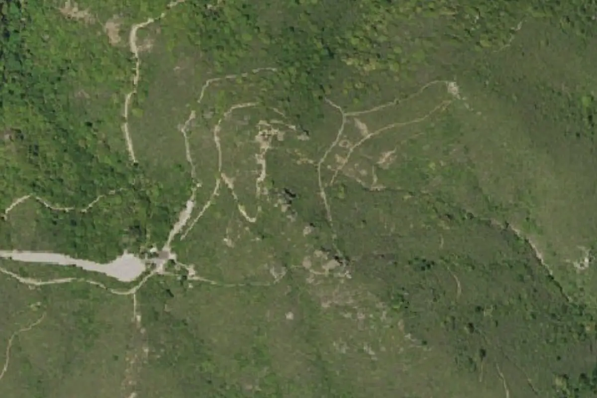 Aerial photo of the The Leaning Tower area