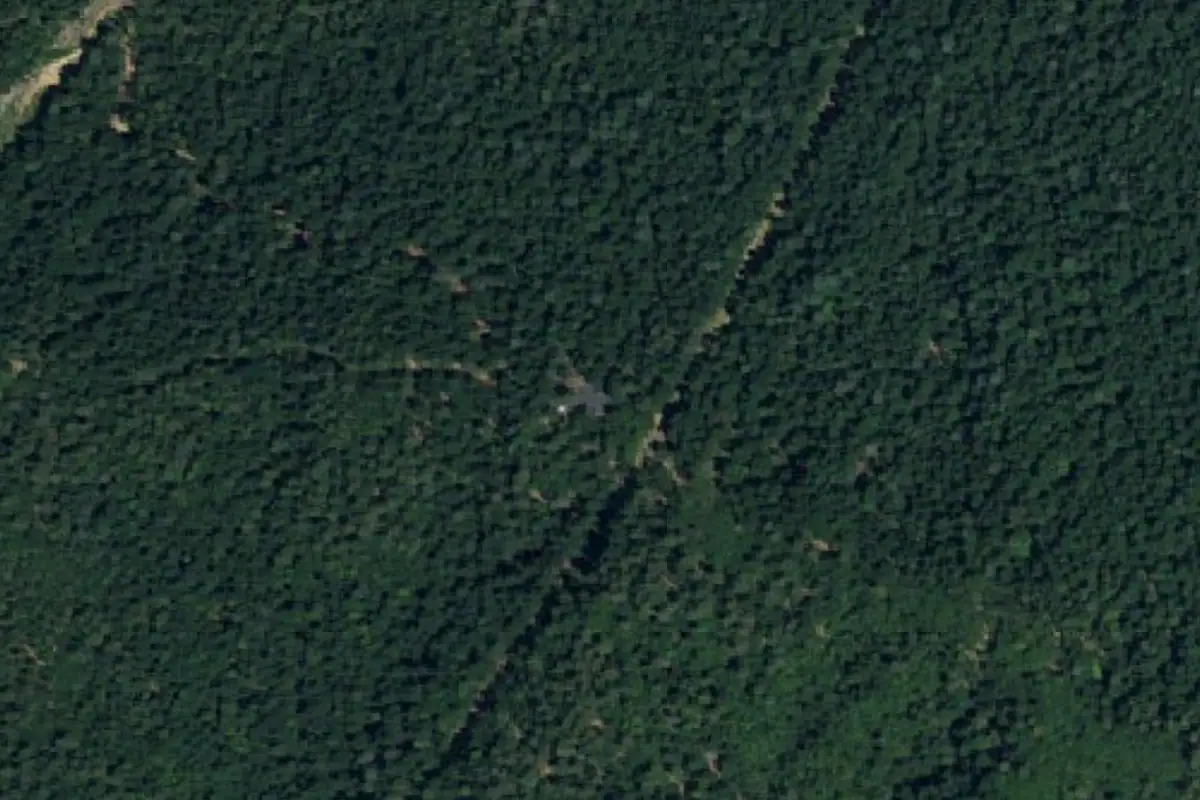 Foto aérea de la zona de The Mansion