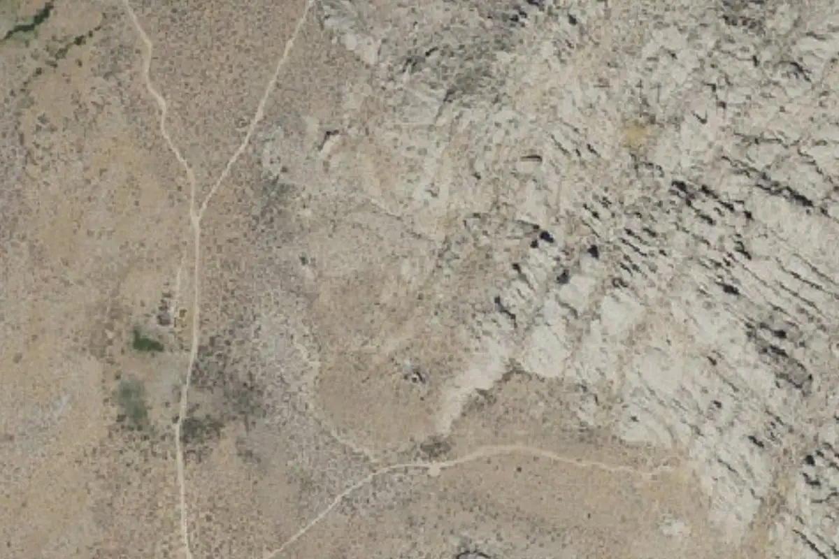 Aerial photo of the The Owl area