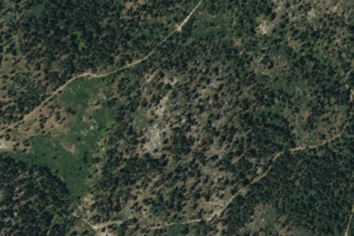 Aerial photo of the The Snags area