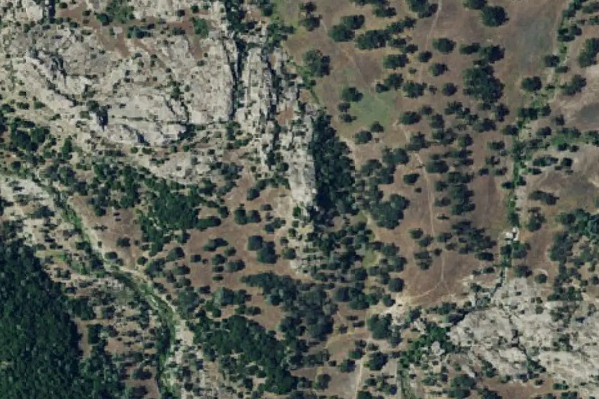 Aerial photo of the The Talking Tower area