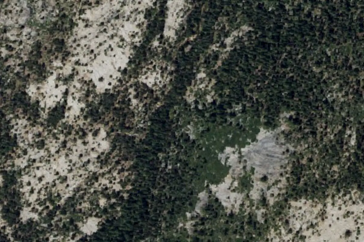 Foto aérea de la zona de Yosemite Creek
