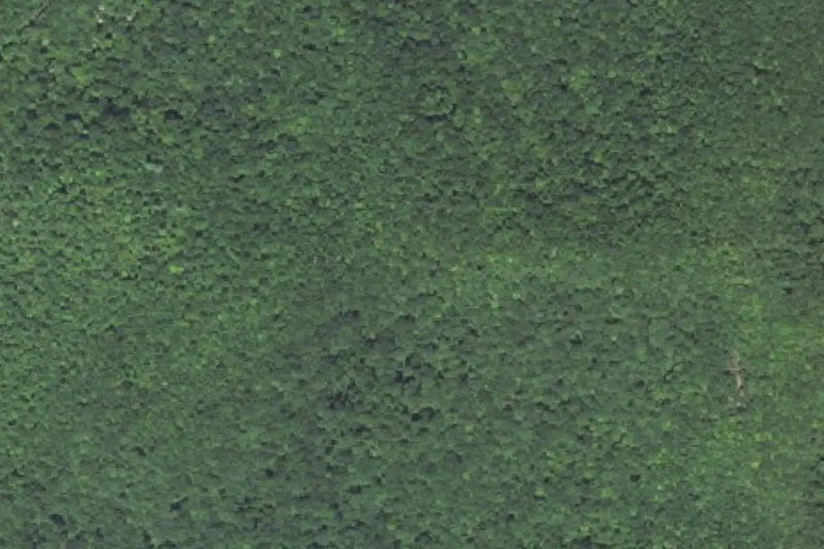 Aerial photo of the Rocky Head area