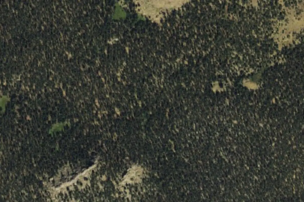 Aerial photo of the Campsite Rock area