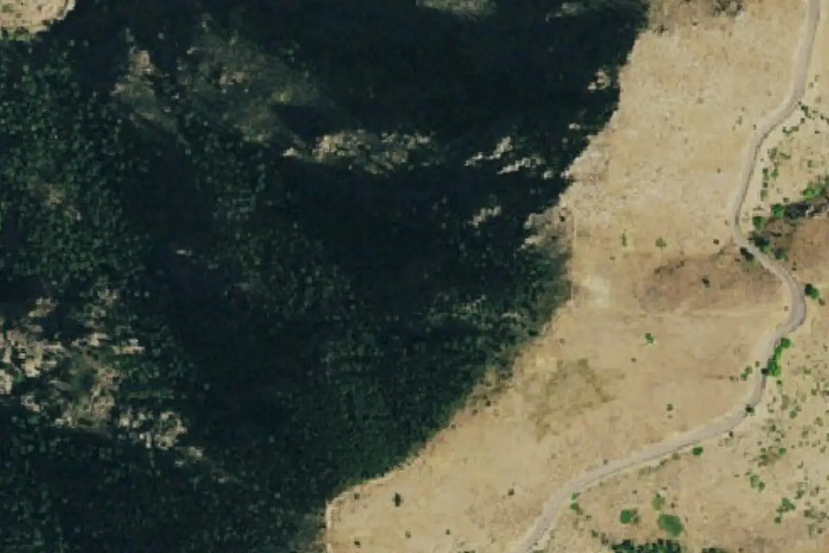 Aerial photo of the D. Zion West area