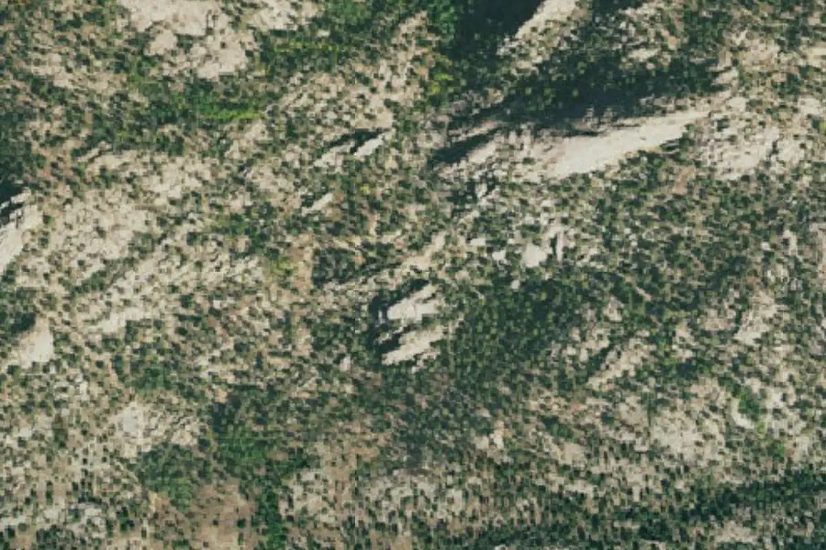 Aerial photo of the Fin City area