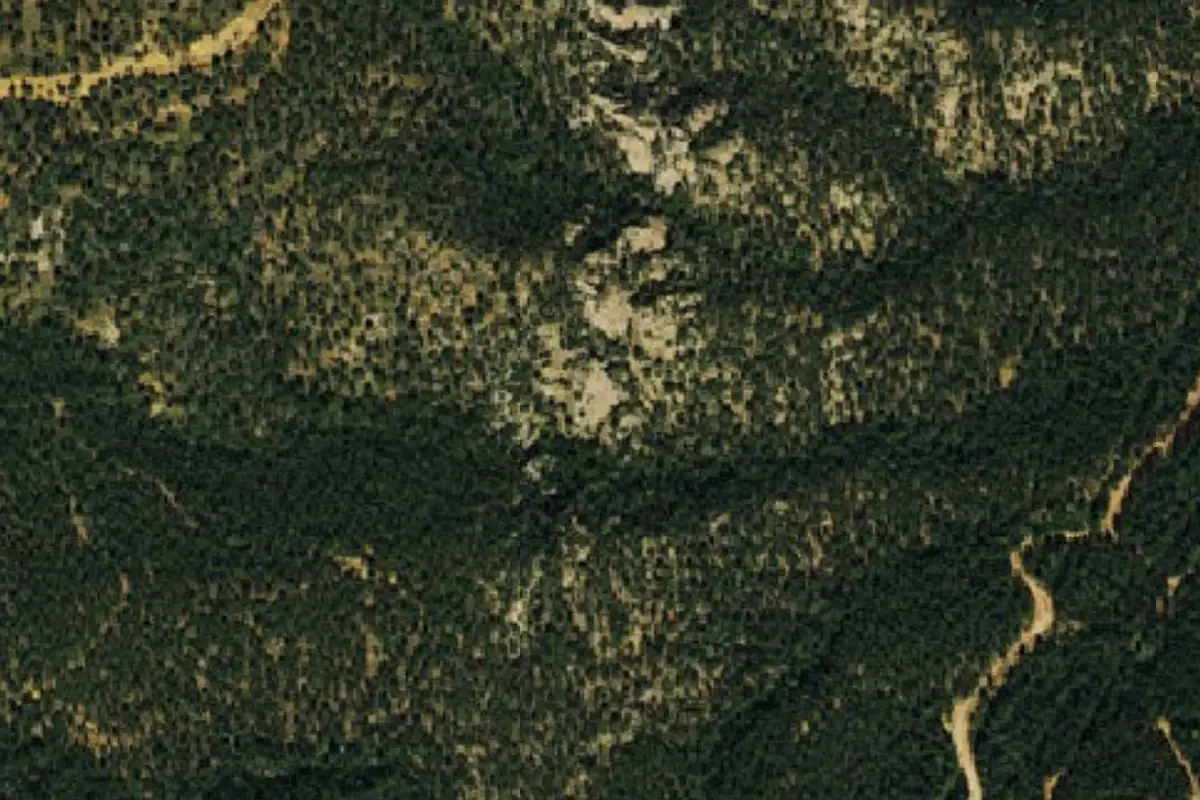 Foto aérea de la zona de Hurricane Ridge