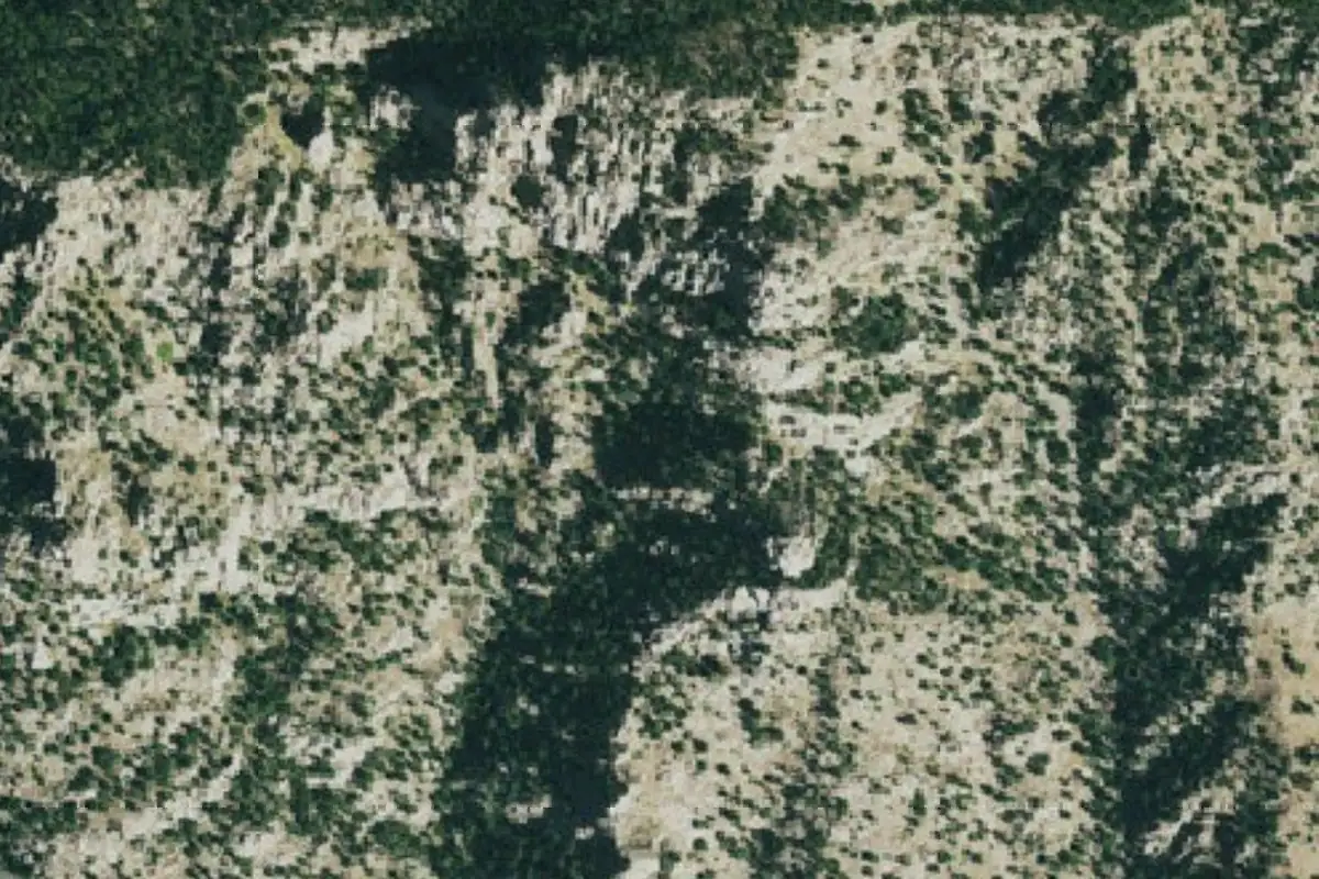 Foto aérea de la zona de Ivy League