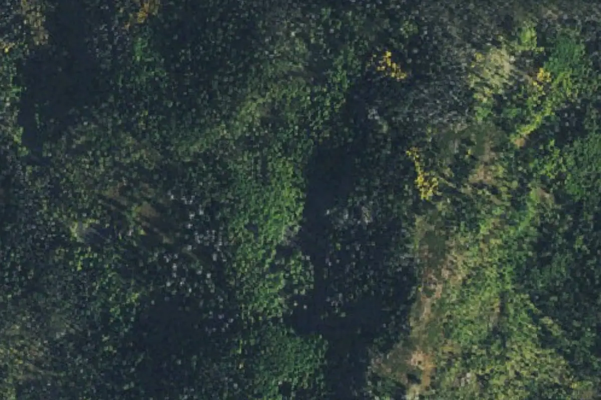 Aerial photo of the Lower Tier area