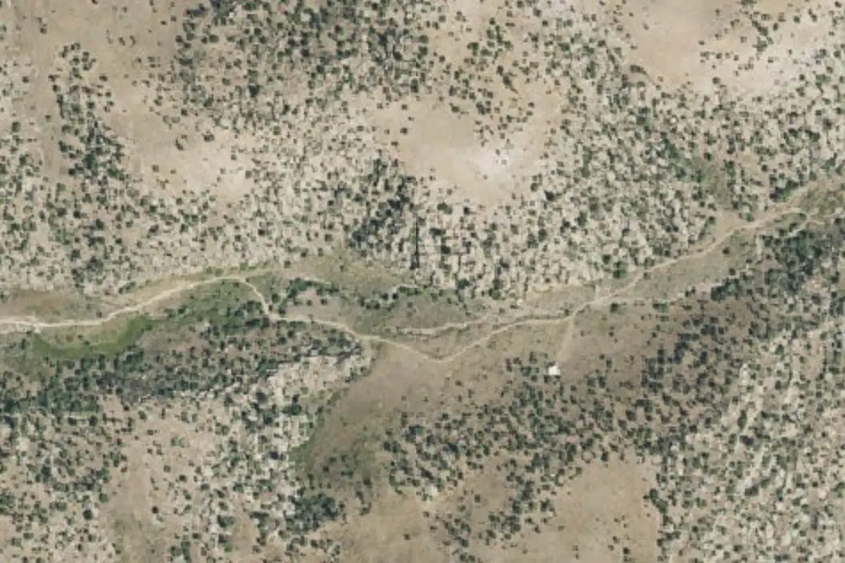 Aerial photo of the Non Dairy Nut Cheese Wall area