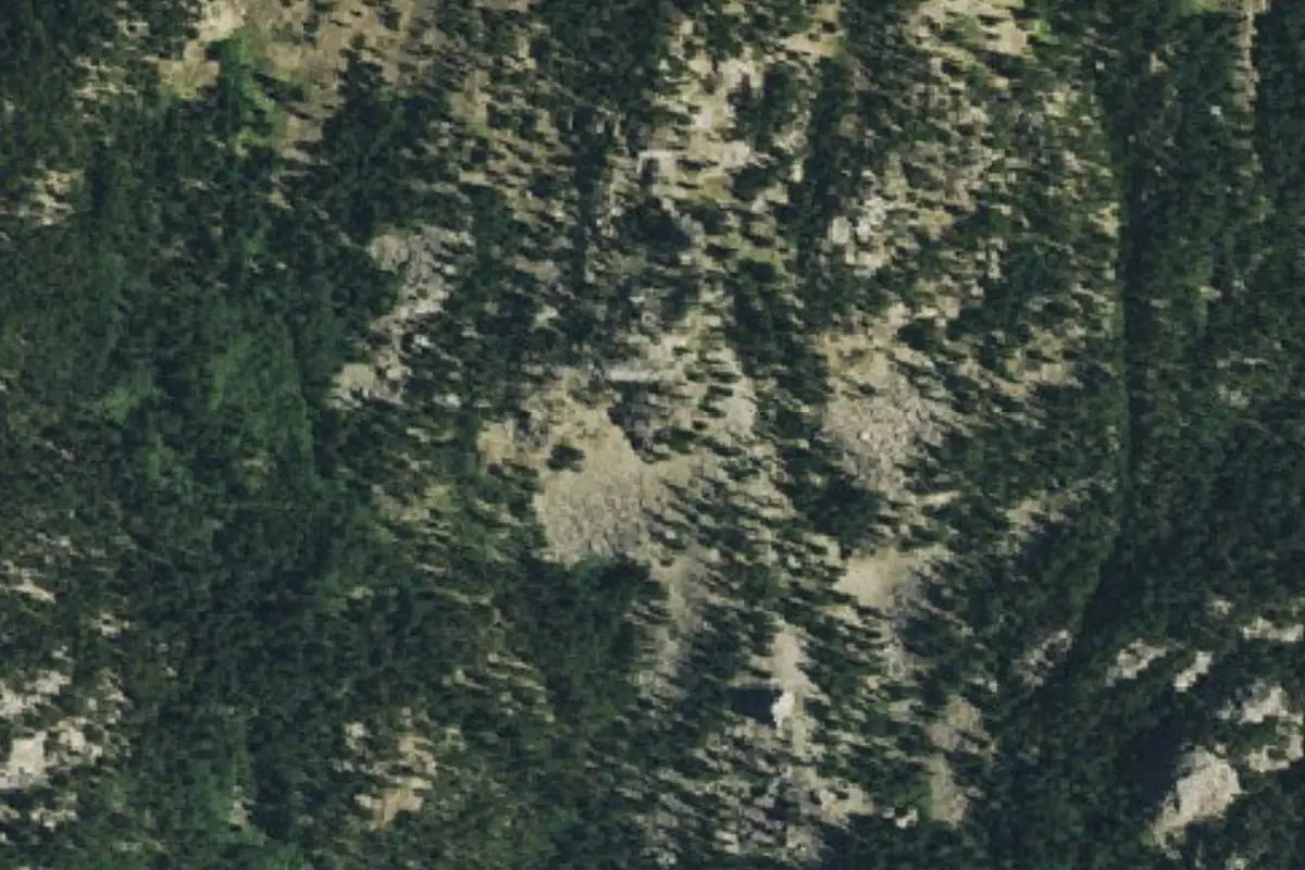 Aerial photo of the The Coral area
