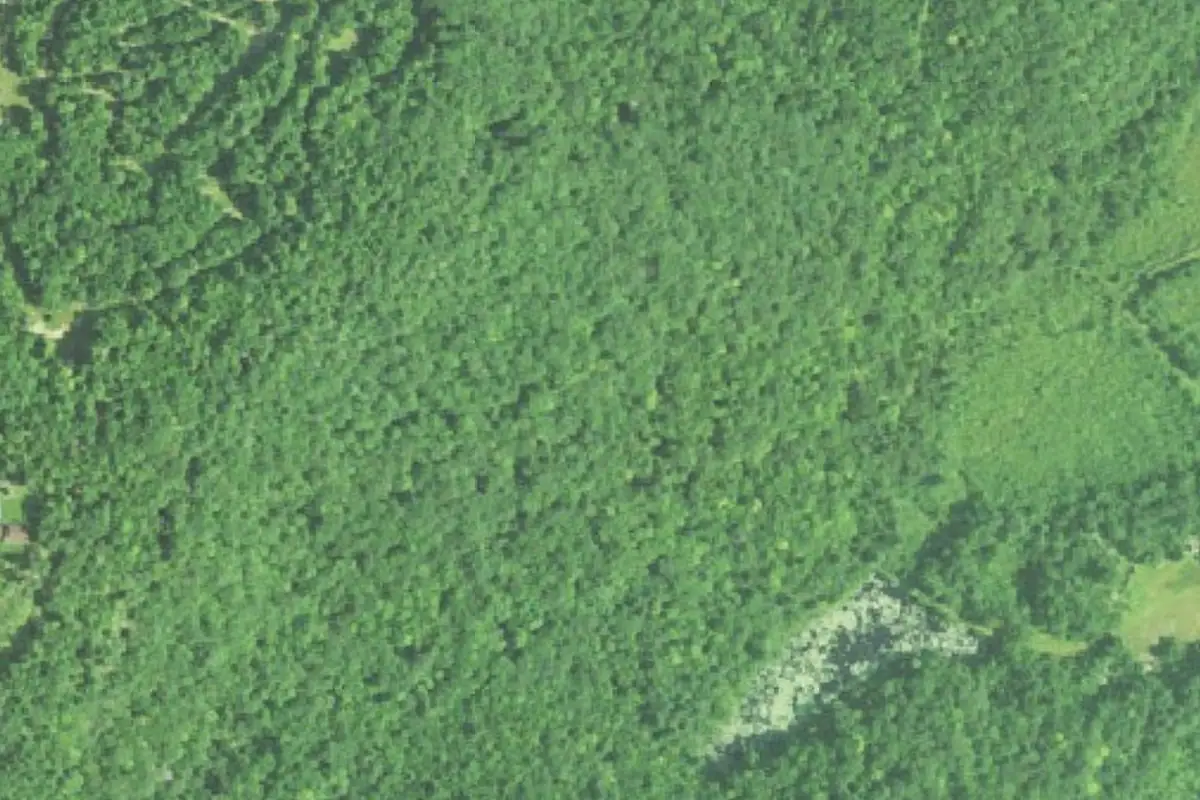 Aerial photo of the Pink Granite Maze (100 Acre Zone) area