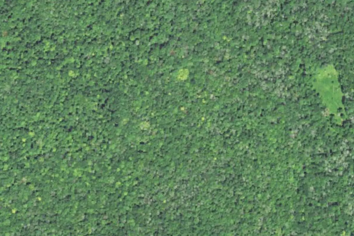 Foto aérea de la zona de Pleasant Hill Preserve
