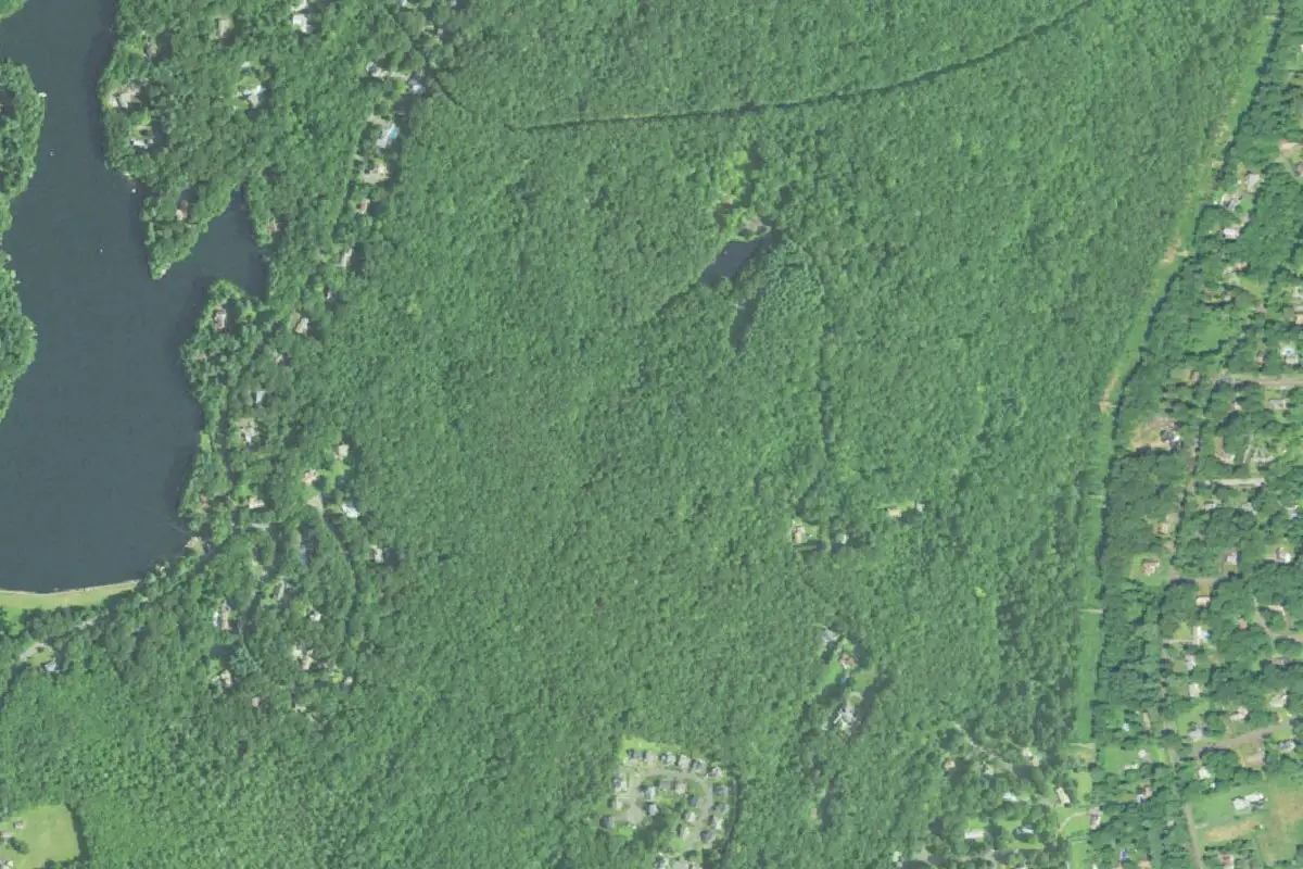 Foto aérea de la zona de Roosevelt Forest