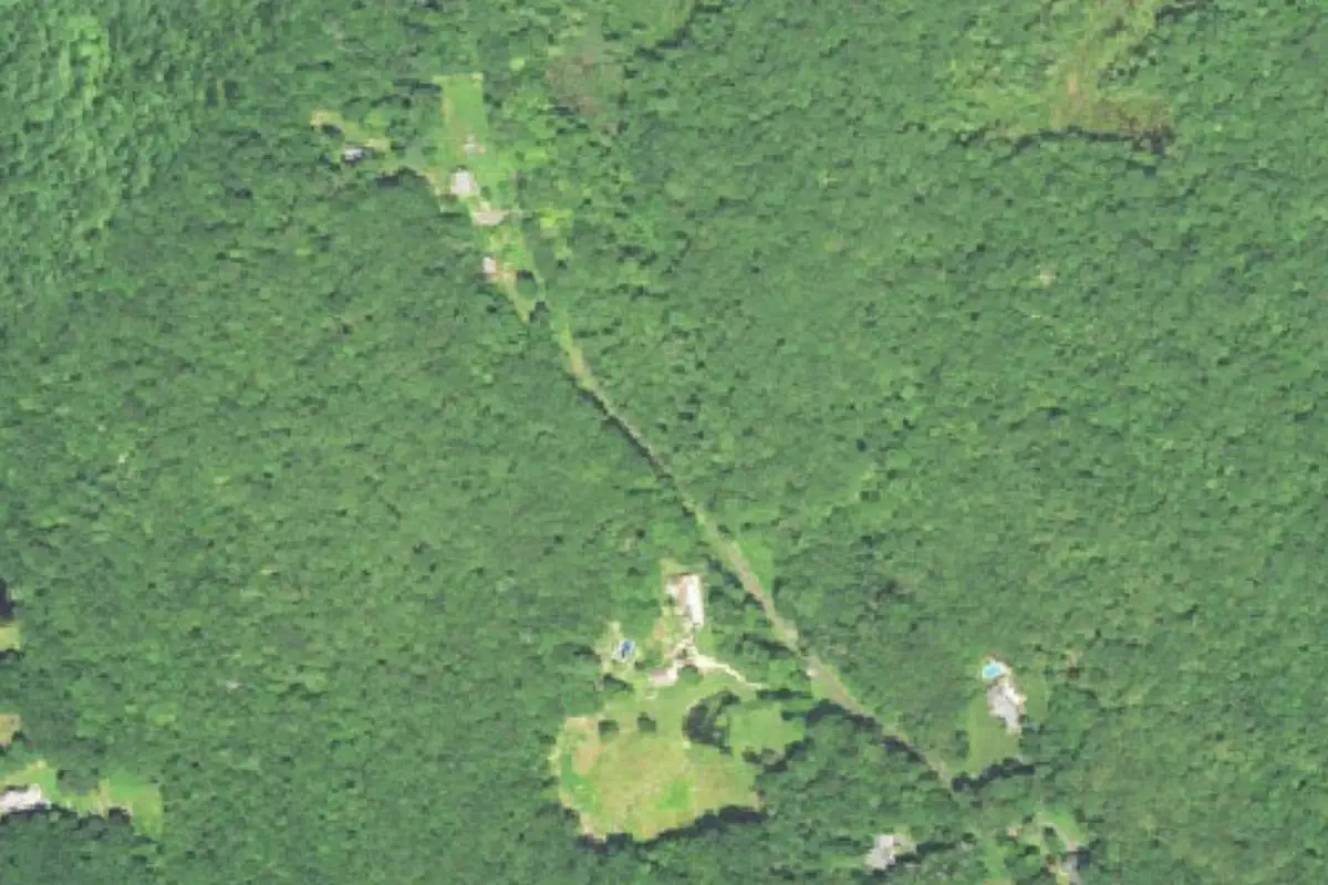 Aerial photo of the Sessions Woods WMA area