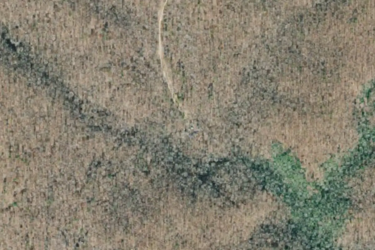 Aerial photo of the Fontainbleau Corridor area