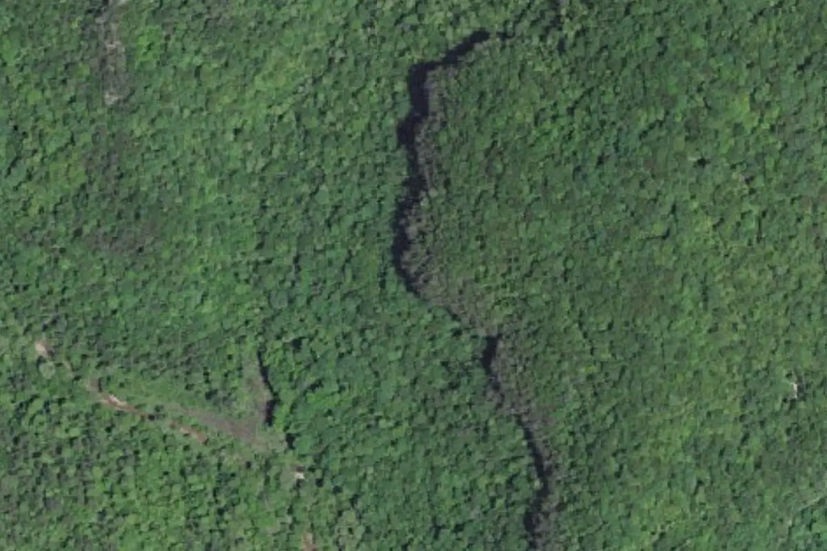 Aerial photo of the Pounder Branch area