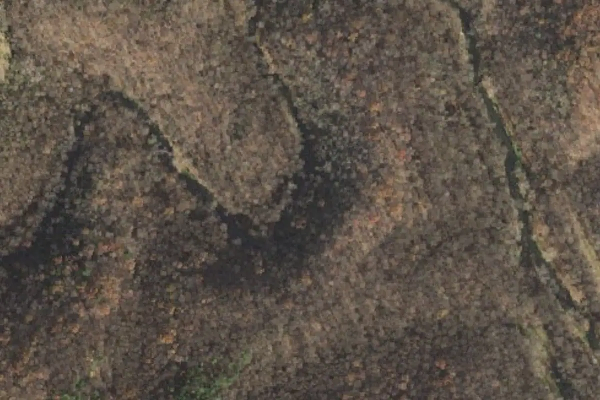 Aerial photo of the The Underlook area