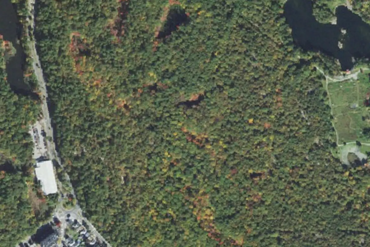 Foto aérea de la zona de Hemlock Pool at Middlesex Fells