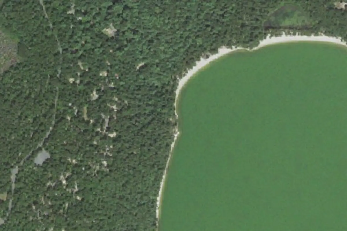 Aerial photo of the Nickerson State Park area