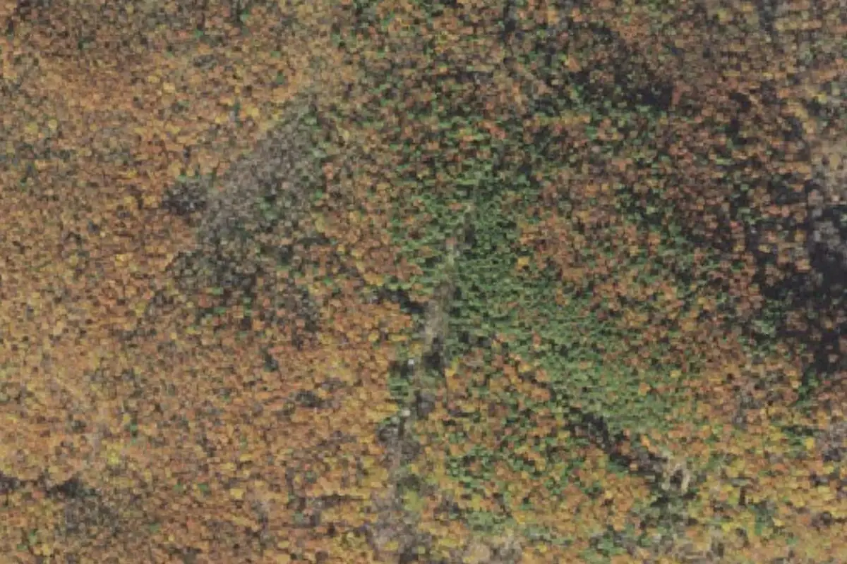 Aerial photo of the The Ice Glutch area