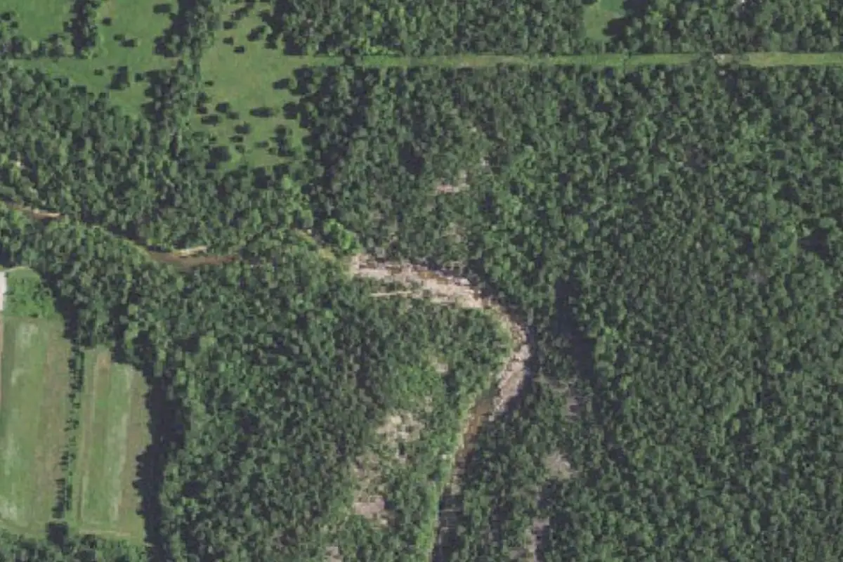 Aerial photo of the I'm Lichen It area