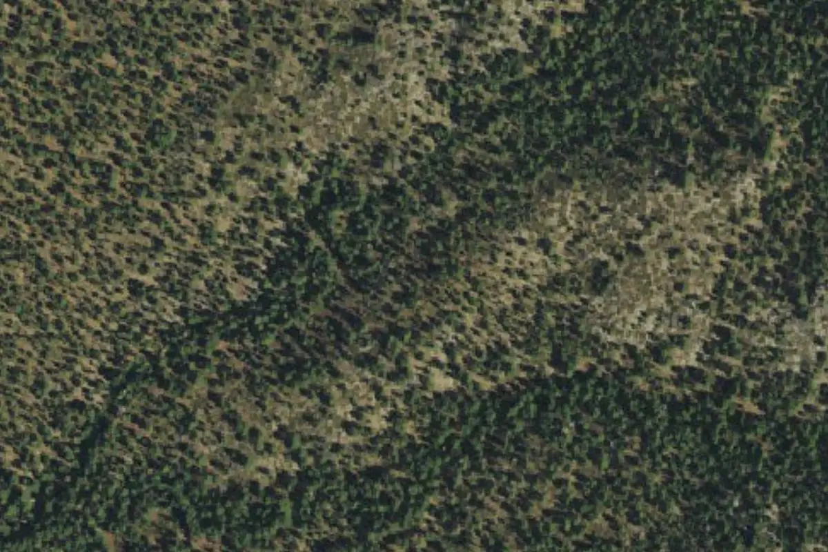Aerial photo of the The Vultures area