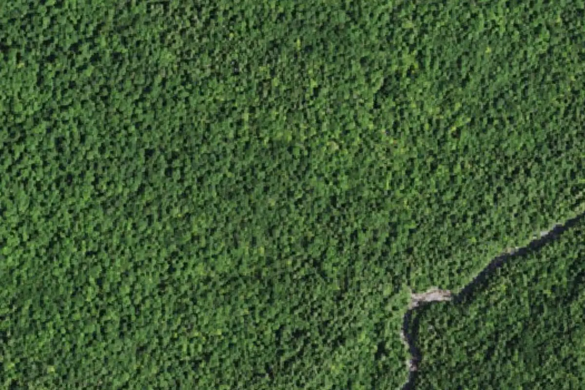 Aerial photo of the King's Valley area