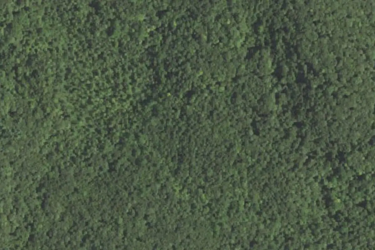Aerial photo of the Leatherman's Cave area