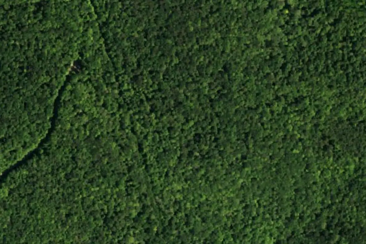 Foto aérea de la zona de Morla Boulder