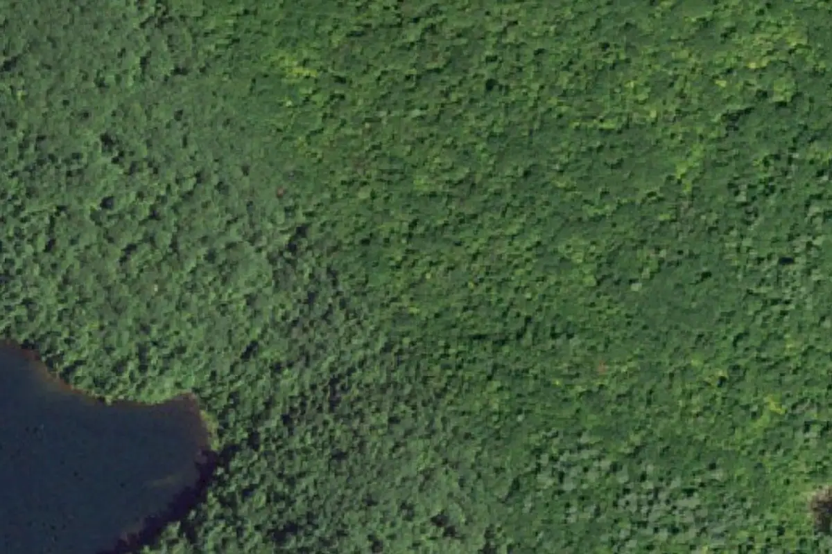 Foto aérea de la zona de Tree Eating Boulders