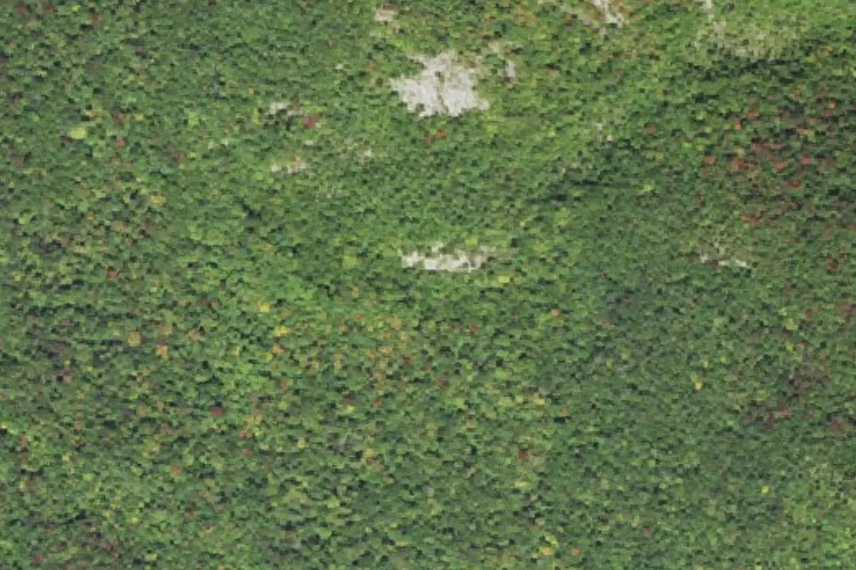 Aerial photo of the 1. Lower Primate Boulders area