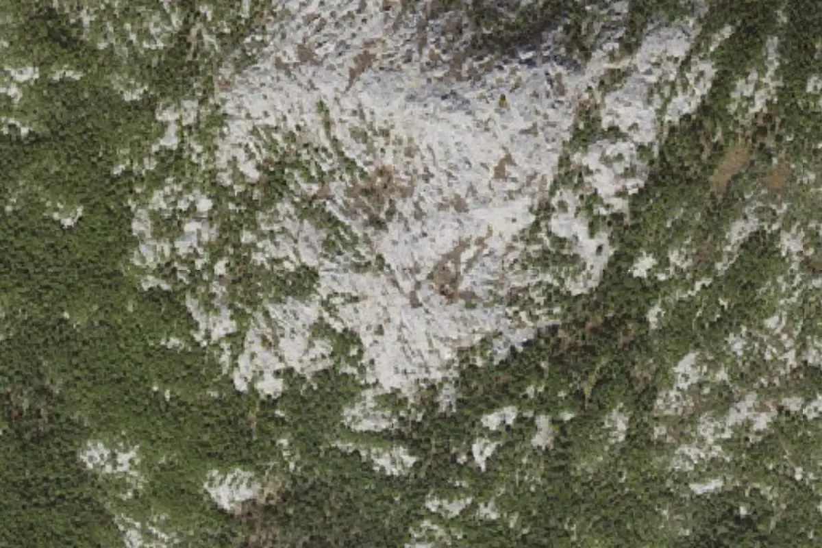 Foto aérea de la zona de Billings Fold