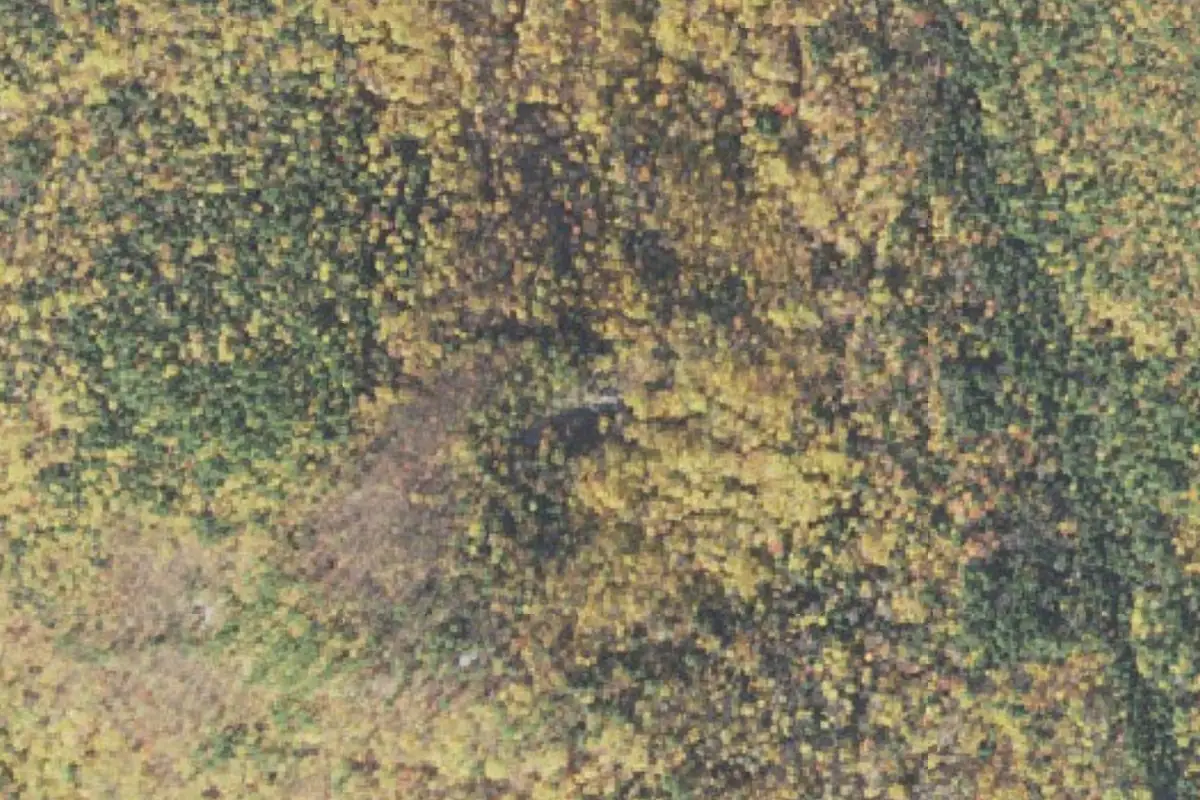 Aerial photo of the Cave Mountain area