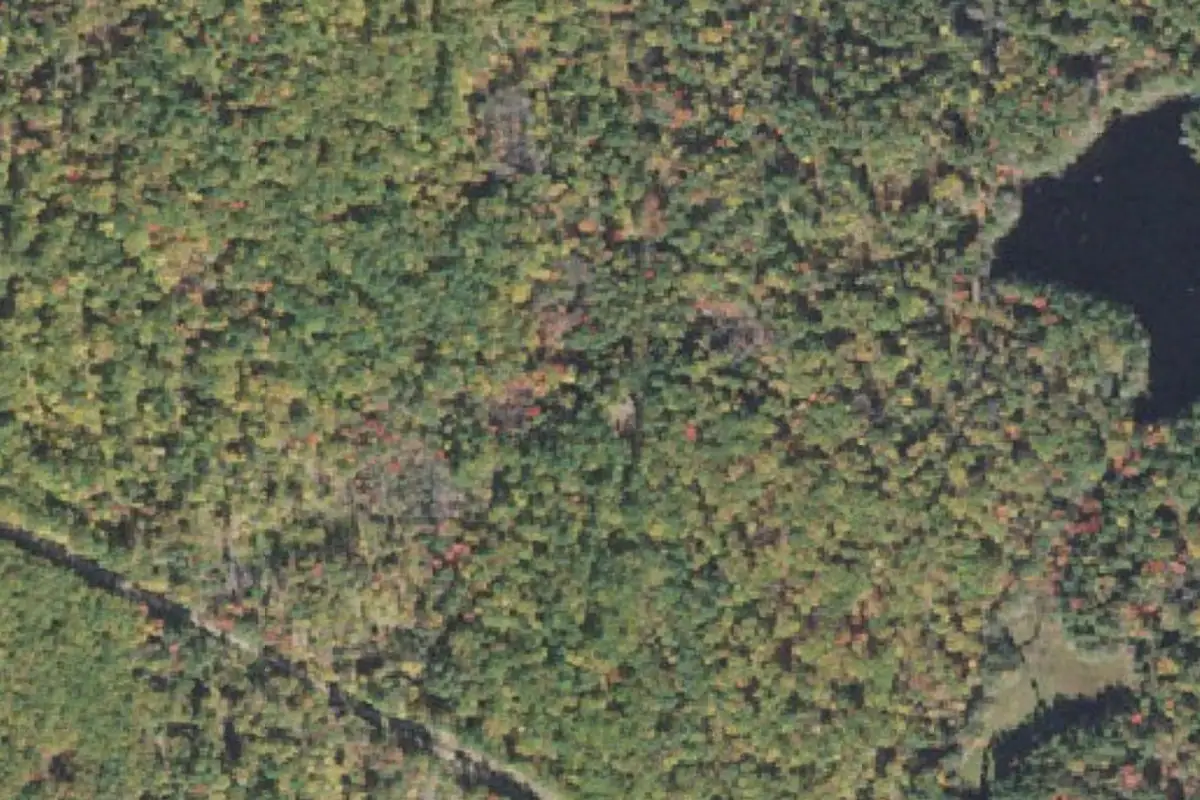 Foto aérea de la zona de Treon
