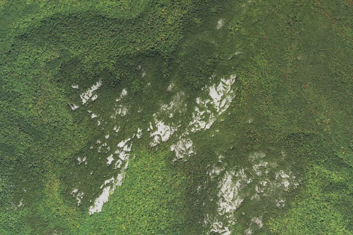 Aerial photo of the Upper Davis area