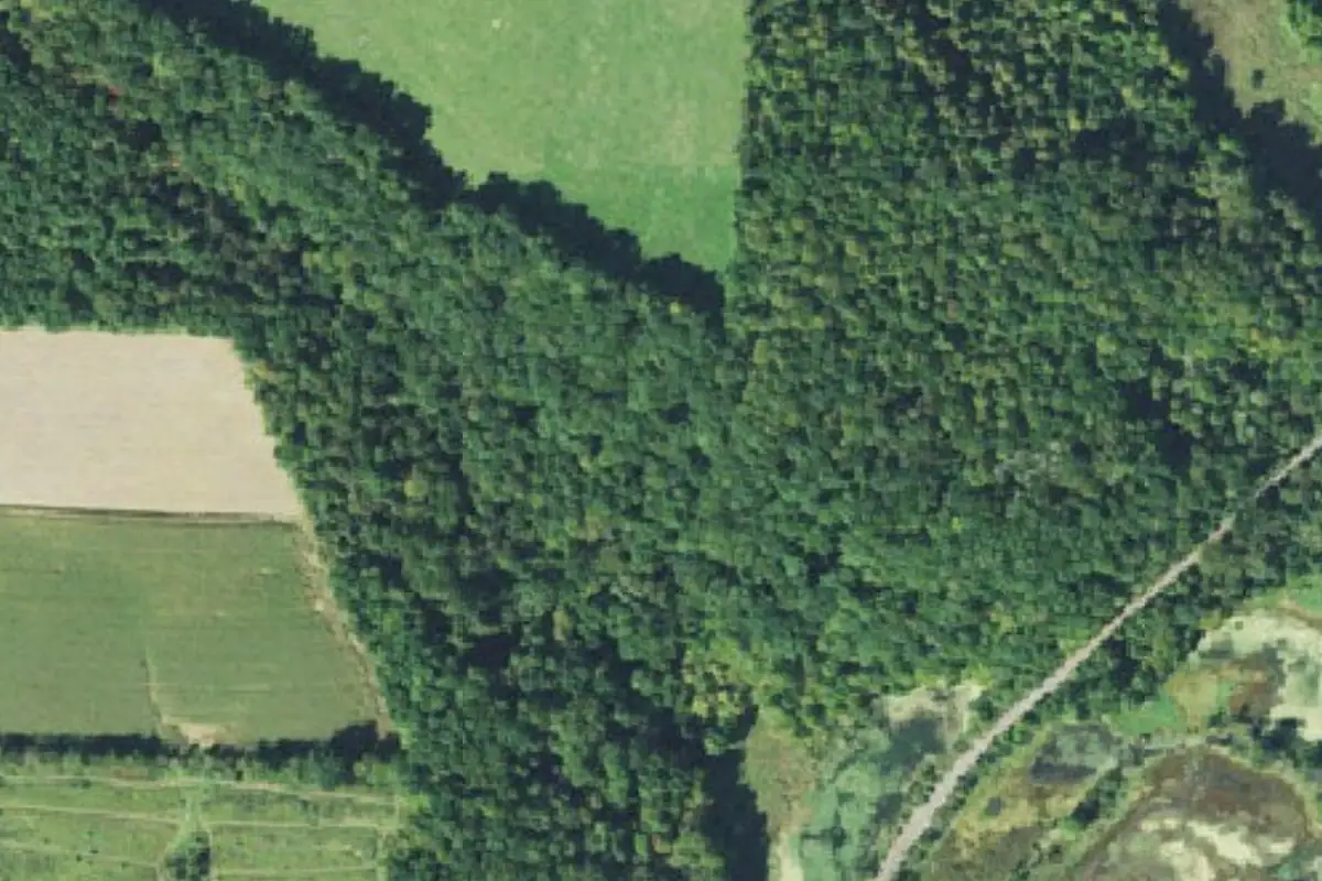 Aerial photo of the Beach City Wildlife Area area